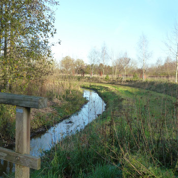IVN-Spaziergang entlang der Maasheggen