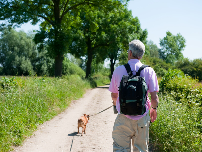 Wandern im Maasheggen